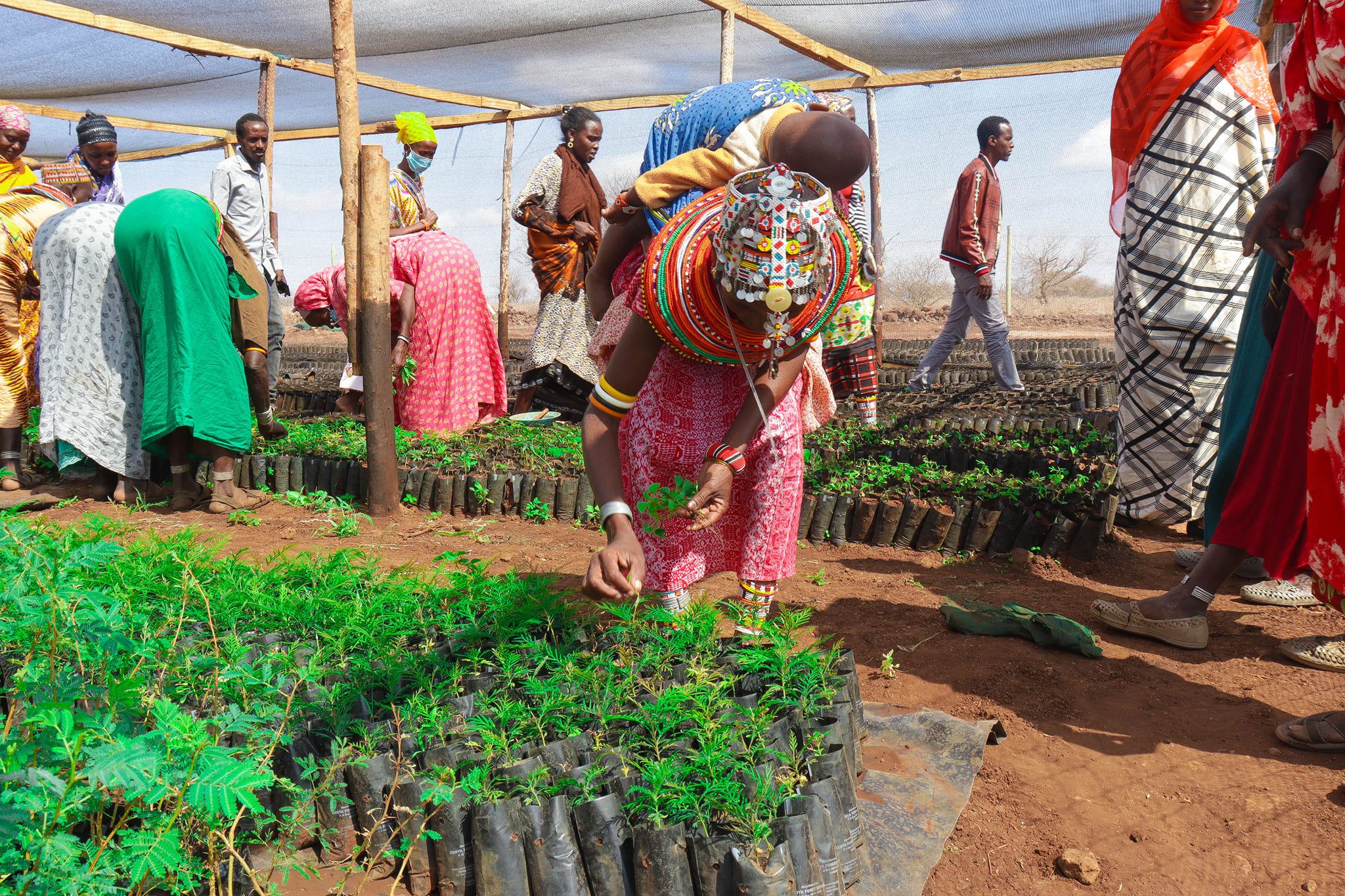 Women farmers working together in sustainable agriculture